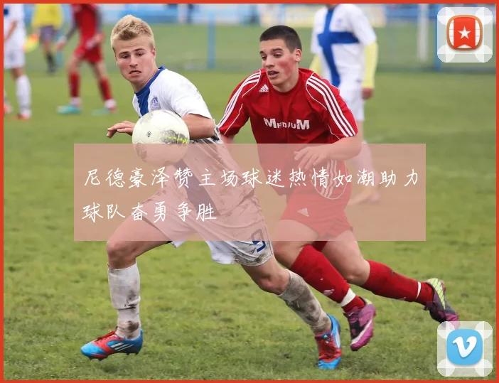 尼德豪泽赞主场球迷热情如潮助力球队奋勇争胜