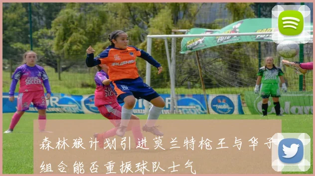 森林狼计划引进莫兰特枪王与华子组合能否重振球队士气